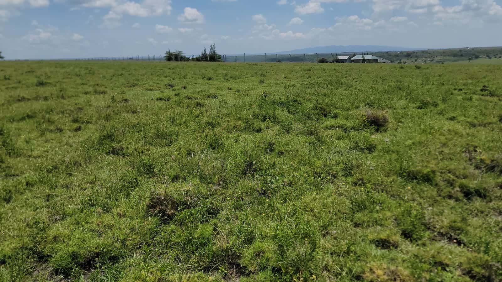 Plots For Sale in Kitengela KCA University thumbnail 2