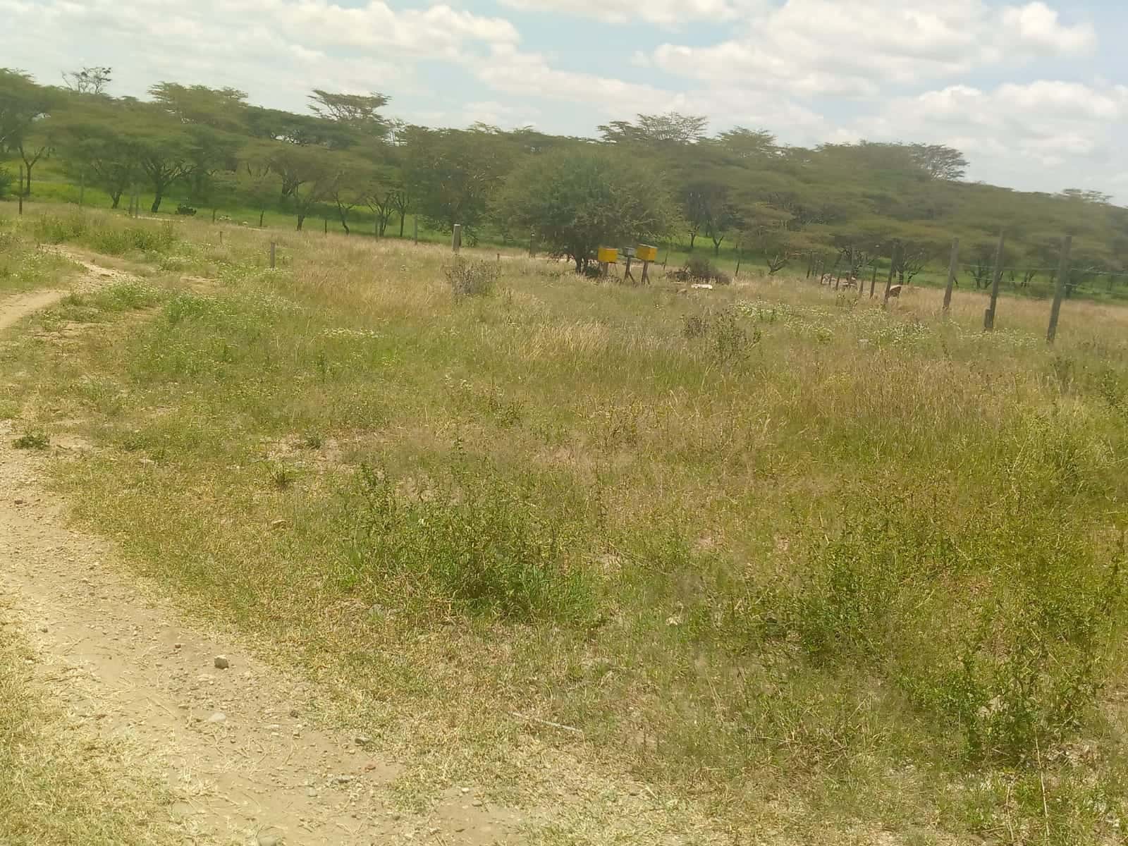Land for Sale – Prime Investment Opportunity thumbnail 7
