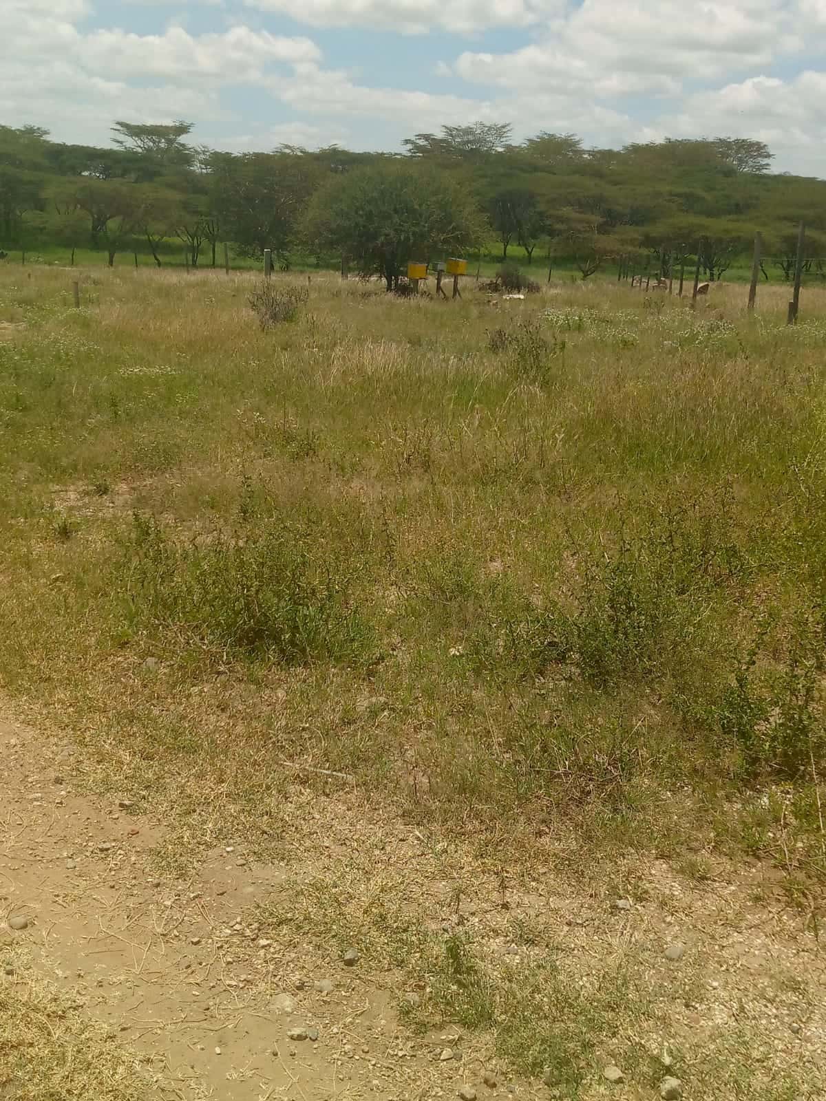 Land for Sale – Prime Investment Opportunity thumbnail 3