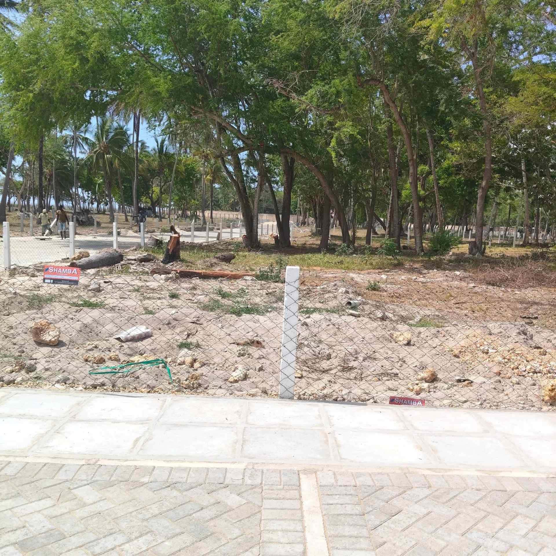 Beachfront land  image 4