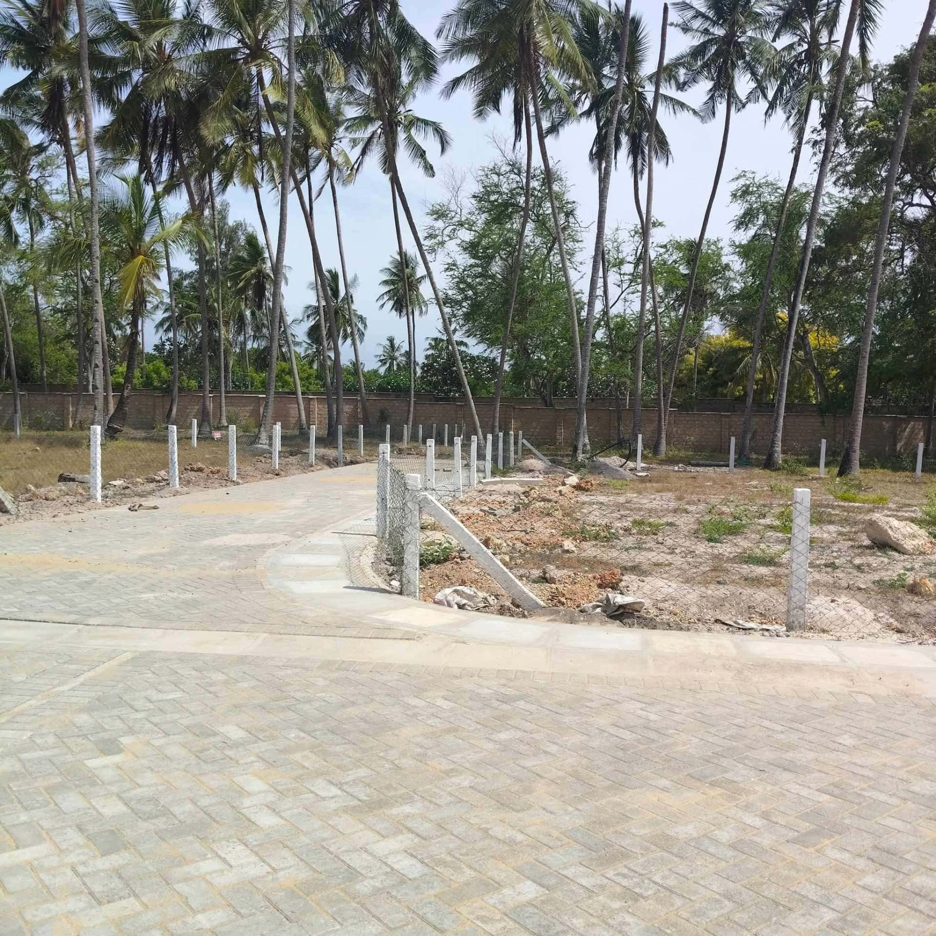 Beachfront land  image 3