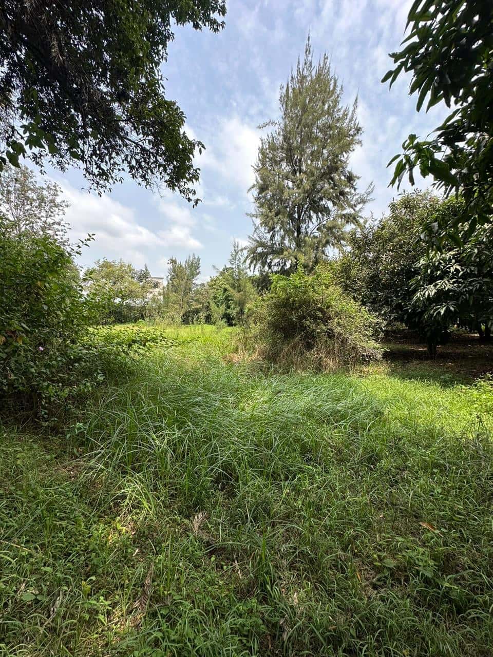 Plot For Sale in Karen Miotoni Area thumbnail 4