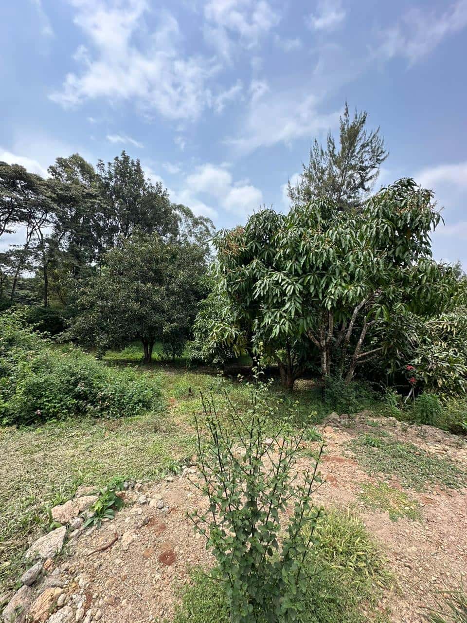 Plot For Sale in Karen Miotoni Area thumbnail 5