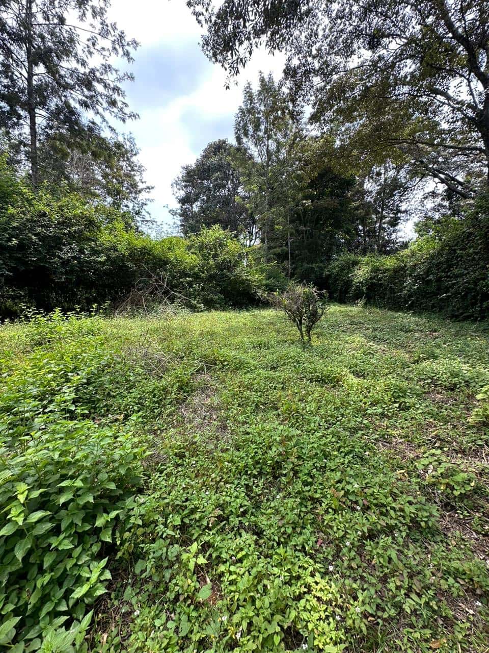 Plot For Sale in Karen Miotoni Area thumbnail 6
