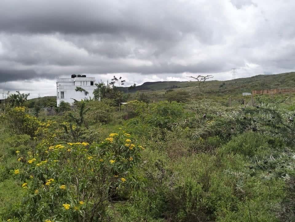 Residential Plots for Sale in Ngong Town thumbnail 3