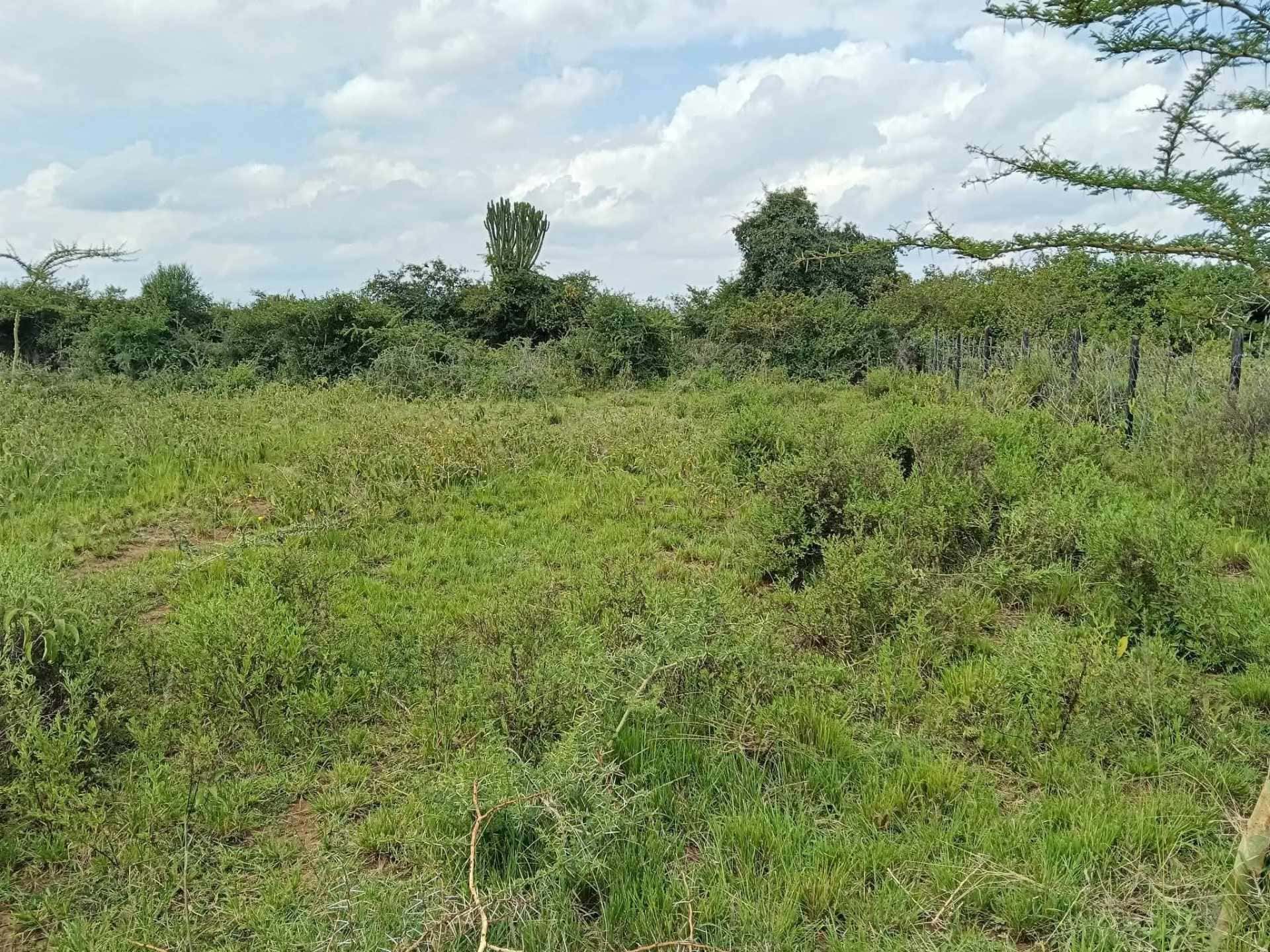 Prime plots for sale in Nakuru County thumbnail 2