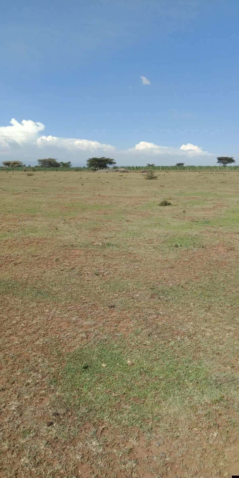 Prime ¼ & ⅛ Acre Plots – Eldoret thumbnail 2