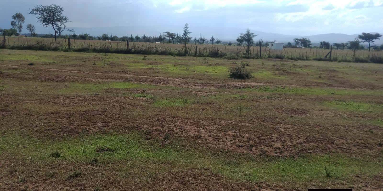 Prime ¼ & ⅛ Acre Plots – Eldoret thumbnail 1
