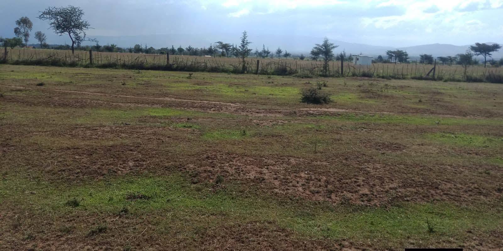 Prime ¼ & ⅛ Acre Plots – Eldoret - Image 1