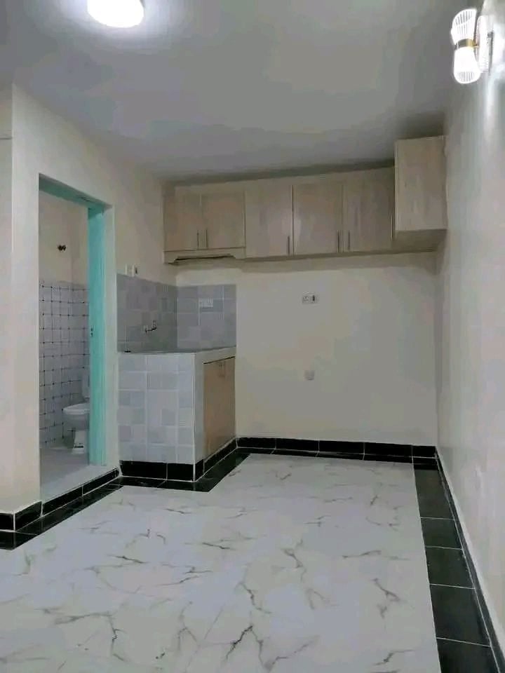 Ongata rongai spacious bedsitter house for rent - Image 1
