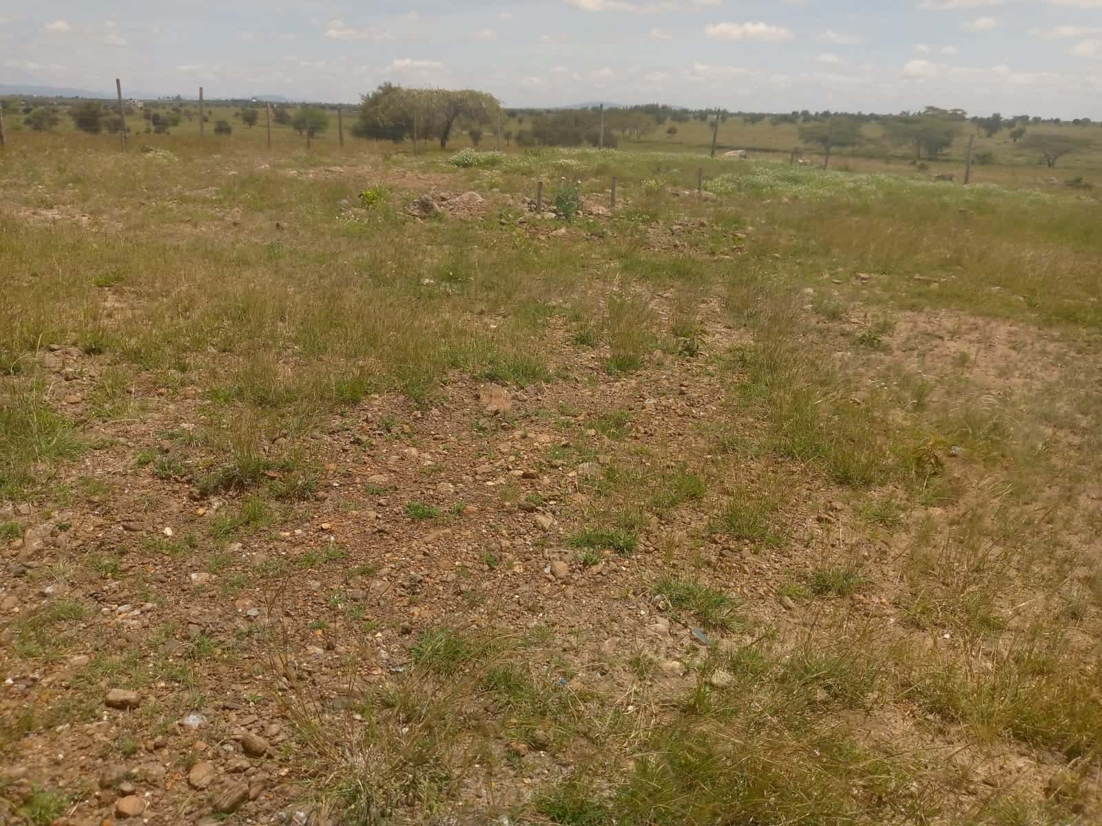 Land for Sale – Prime Investment Opportunity thumbnail 6