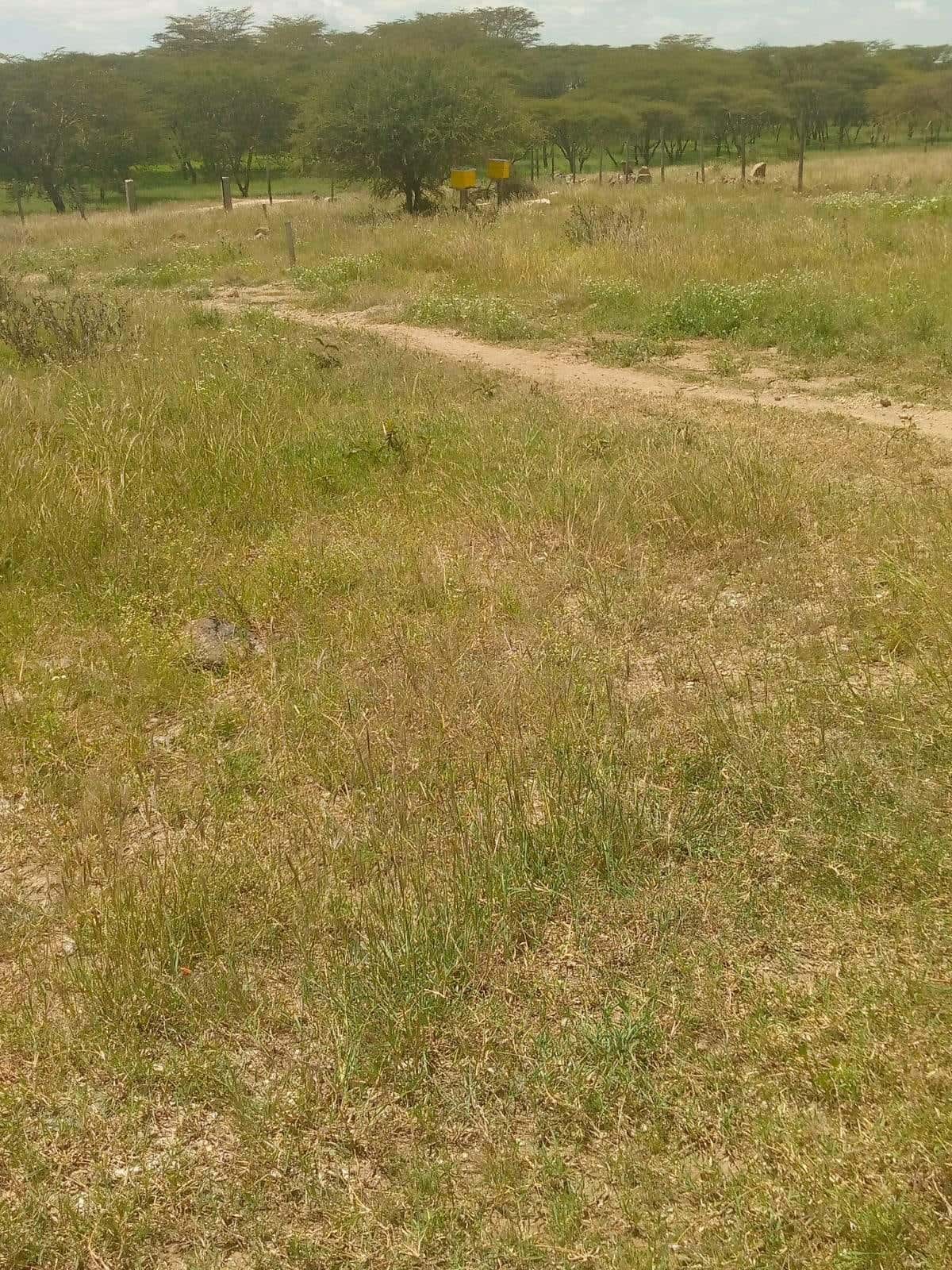 Land for Sale – Prime Investment Opportunity thumbnail 4