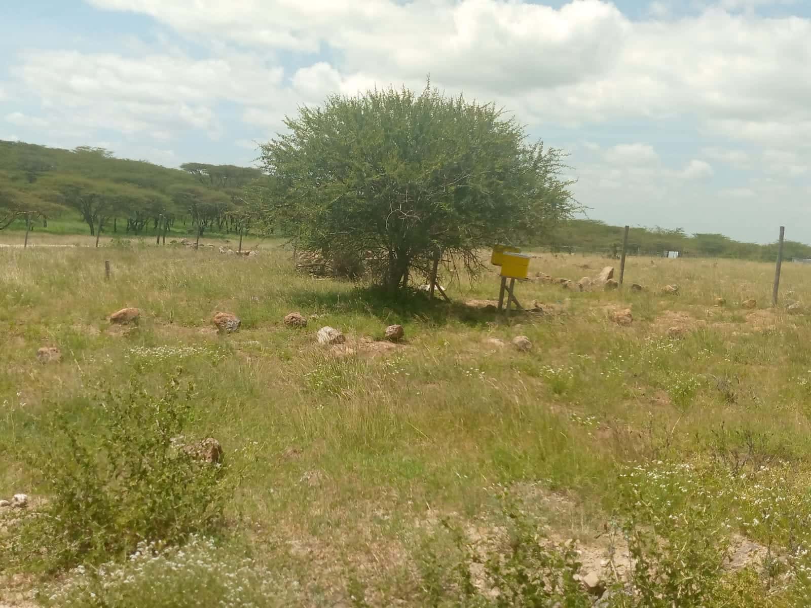 Land for Sale – Prime Investment Opportunity thumbnail 5
