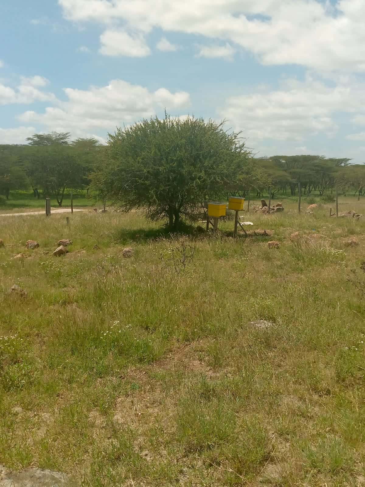 Land for Sale – Prime Investment Opportunity thumbnail 1