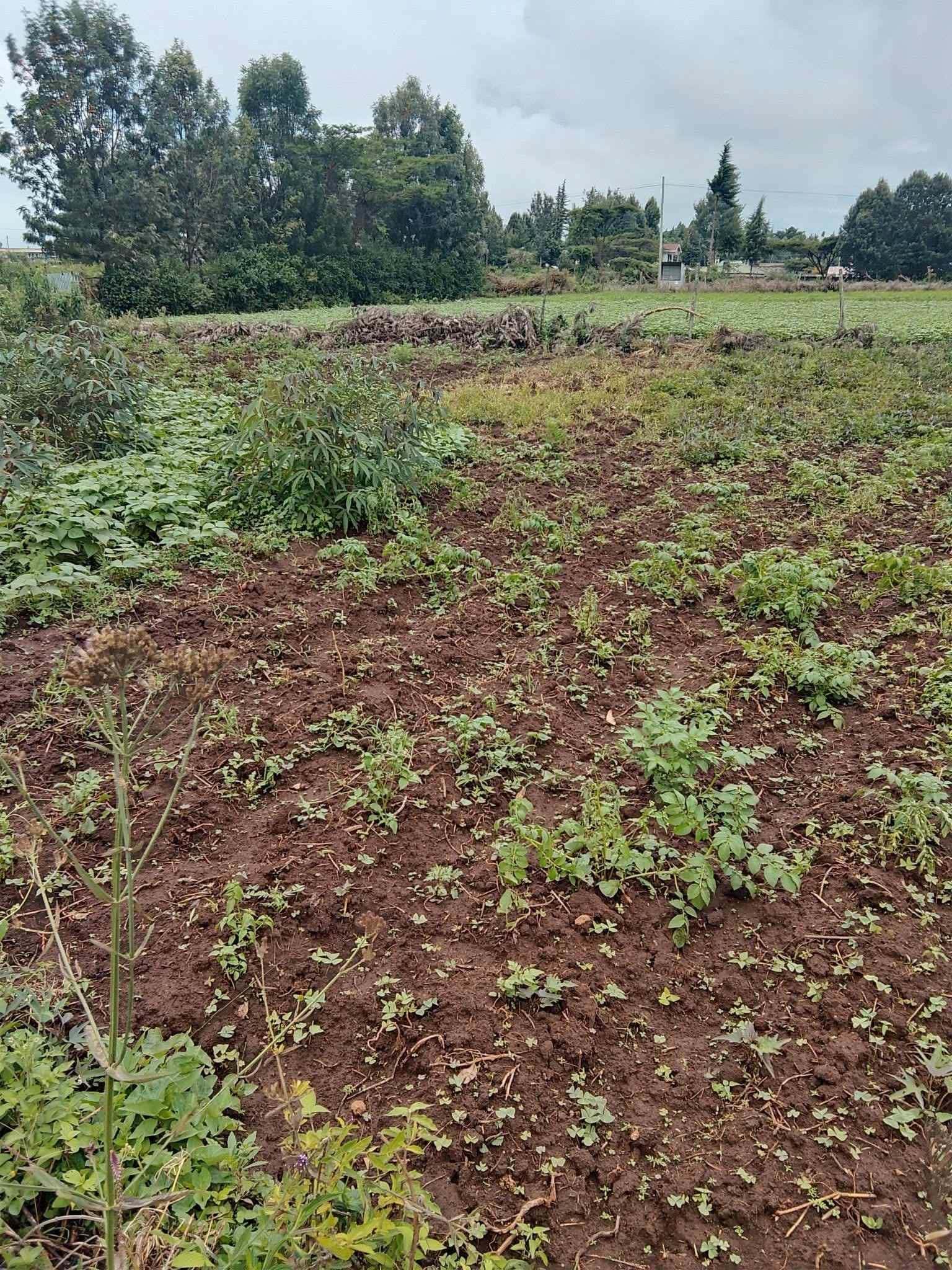 Prime 50 x 100 Plot for Sale β Nakuru thumbnail 4