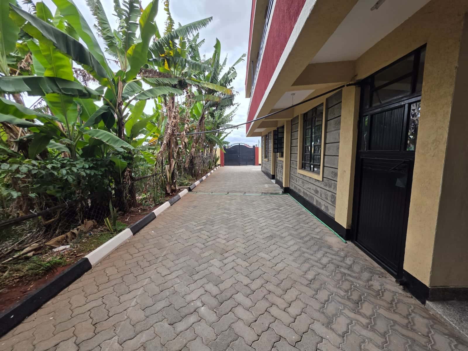 3 Bedroom House + Garage To Let thumbnail 12