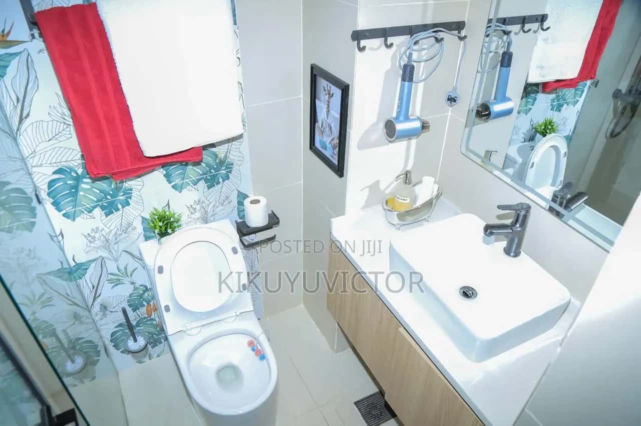 Furnished Studio Apartment for Rent | Syokimau | KES 90,000/Month thumbnail 16