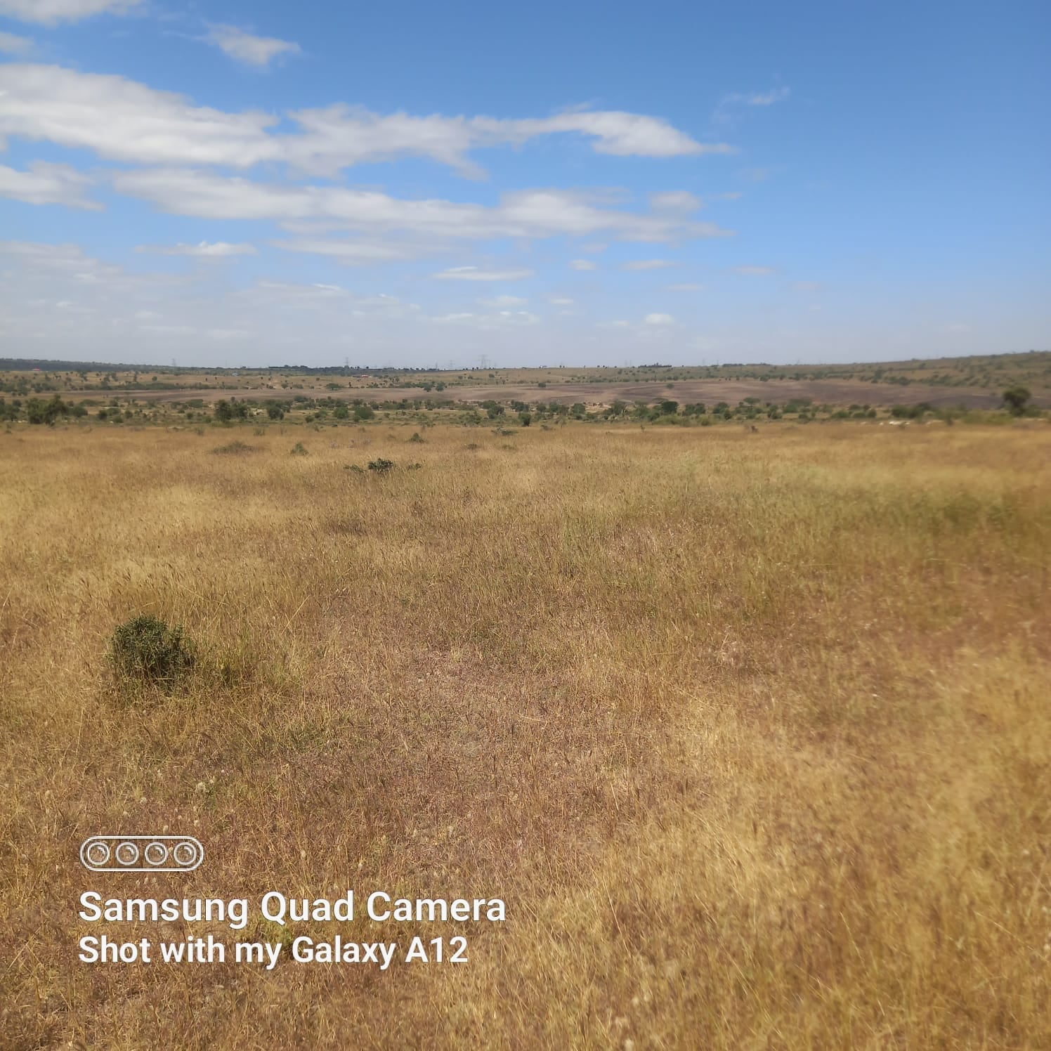 Prime 10 Acres for Sale at Isinya Branch, Near Tumaini Garden Resort – KSh 4 Million - Image 1