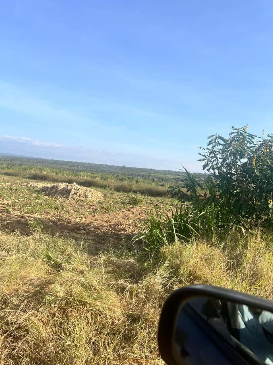 50 acres Agricultural Land on sales at mukima, Nanyuki Laikipia east, Laikipia county, it has 2 huge dams powered by solar for irrigation , reserved price @ 2.5m,An exceptional opportunity to thumbnail 2
