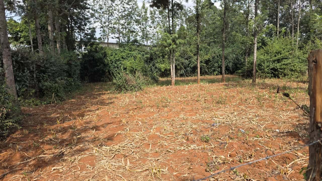 1/4 Acre Plot for Sale – Lower Merisho thumbnail 2