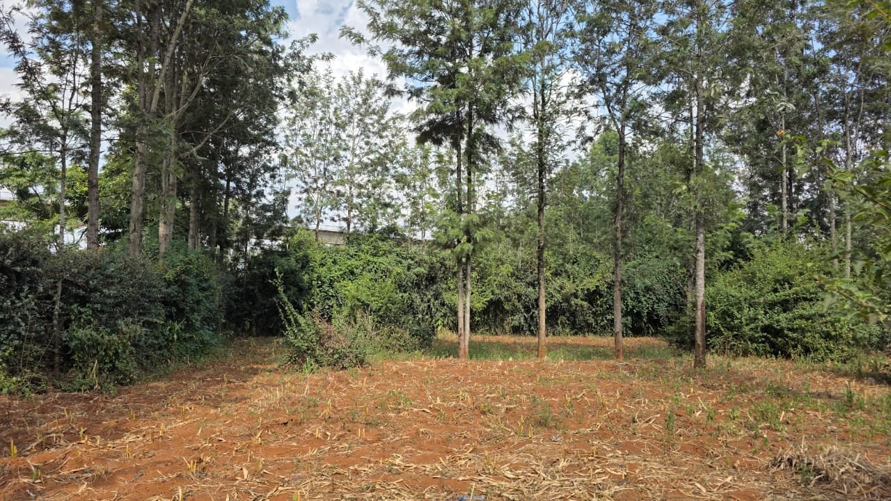 1/4 Acre Plot for Sale – Lower Merisho - Image 1