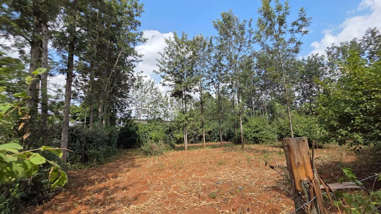 1/4 Acre Plot for Sale – Lower Merisho thumbnail 5