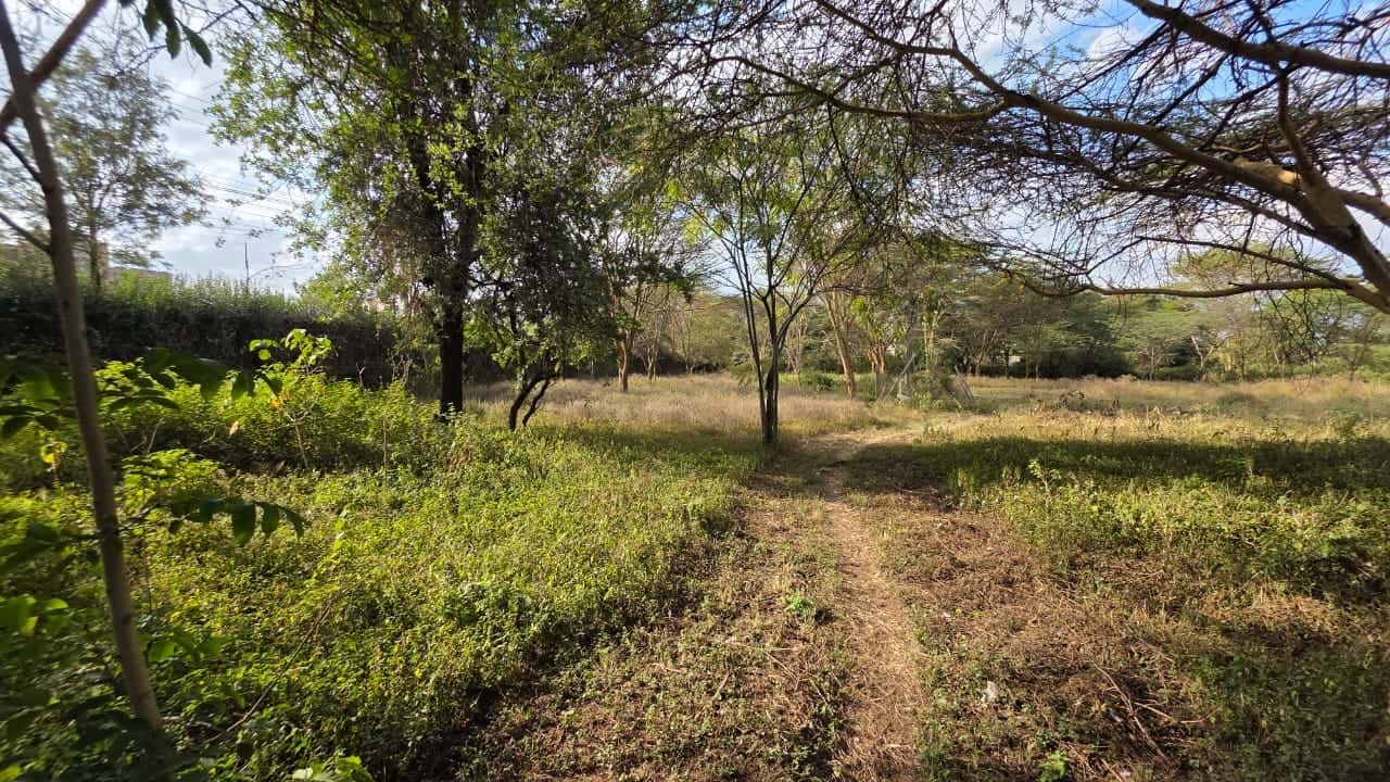 1/4 Acre Plots for Sale – Olerai, Rongai thumbnail 3