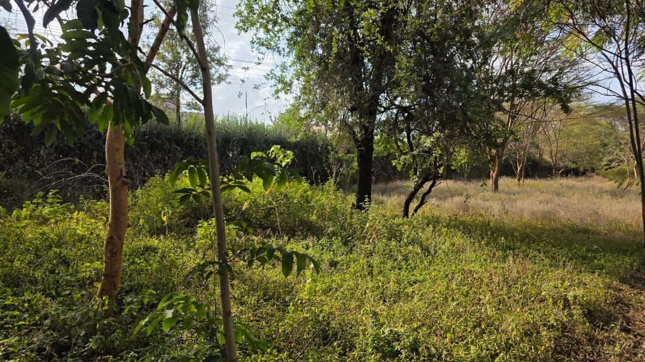 1/4 Acre Plots for Sale – Olerai, Rongai thumbnail 2