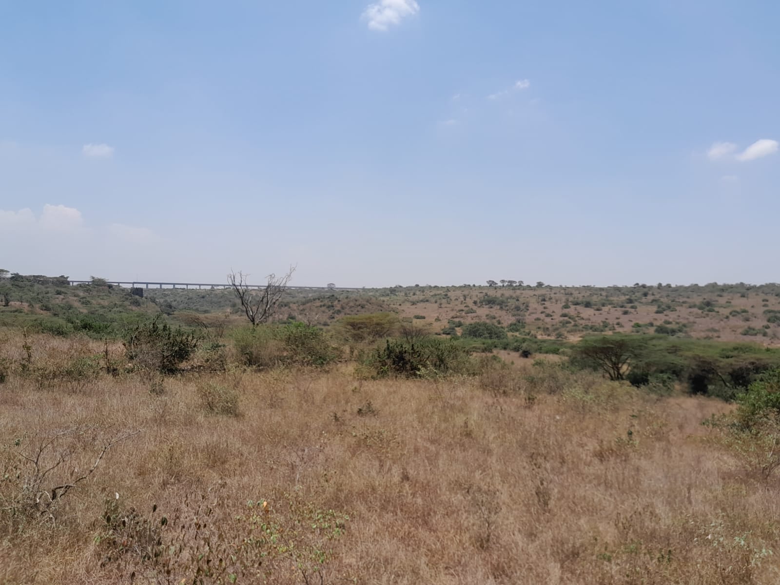 Prime 15 Acres Land for Sale Near Maasai Lodge – KES 12M Per Acre - Image 1