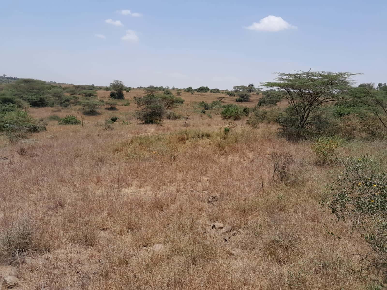 Prime 15 Acres Land for Sale Near Maasai Lodge – KES 12M Per Acre thumbnail 3