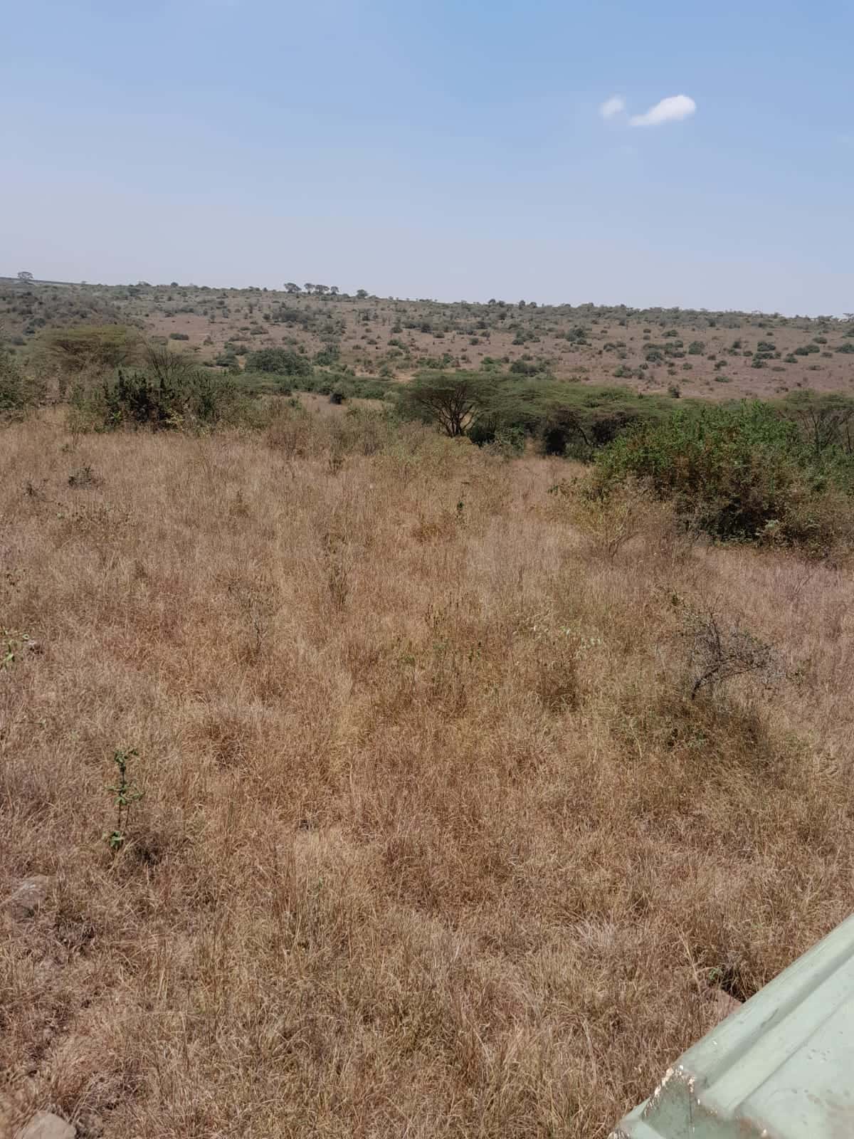 Prime 15 Acres Land for Sale Near Maasai Lodge – KES 12M Per Acre thumbnail 5