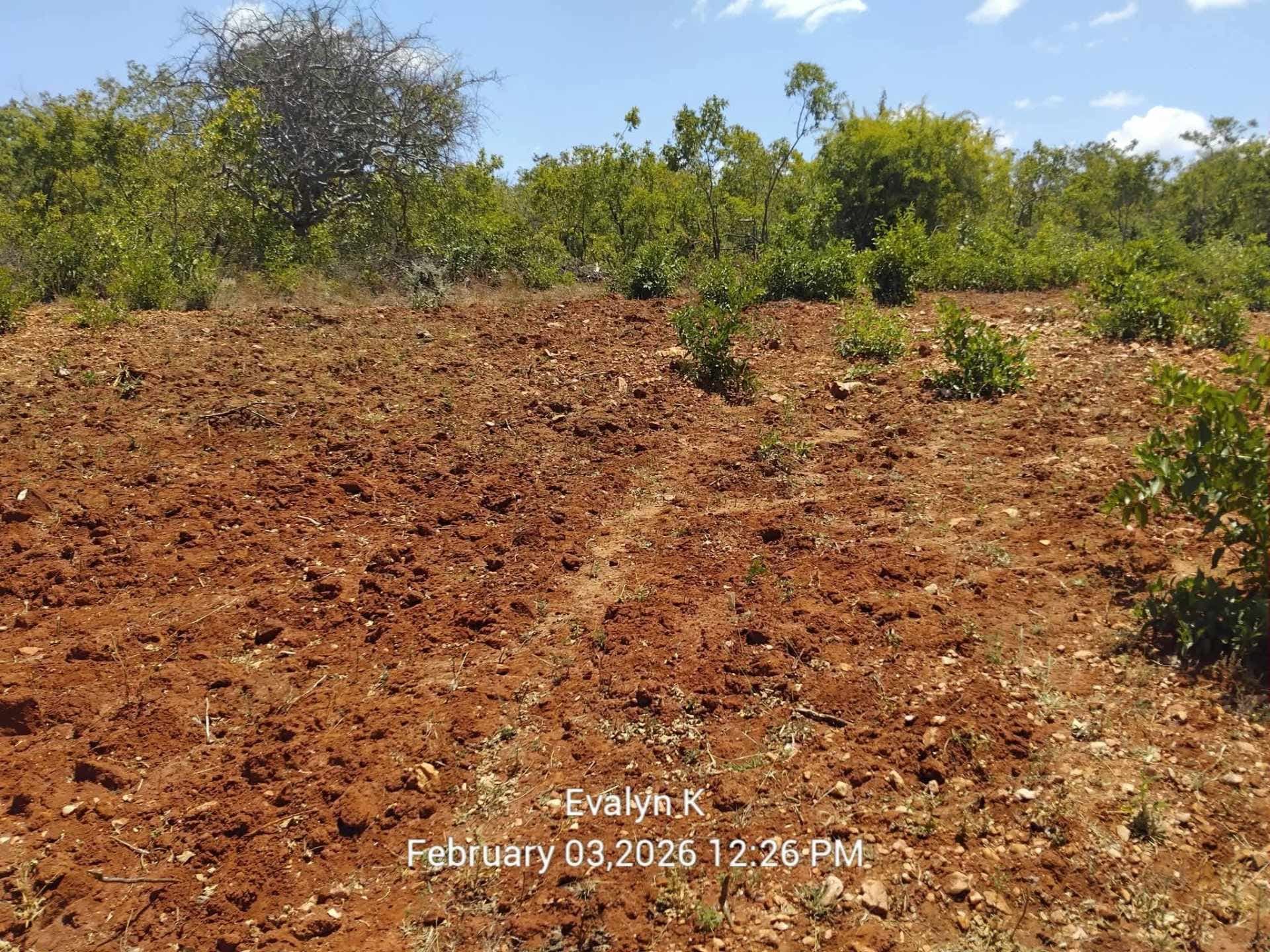 Land For Sale in Embu Mbeere South 52 Acres