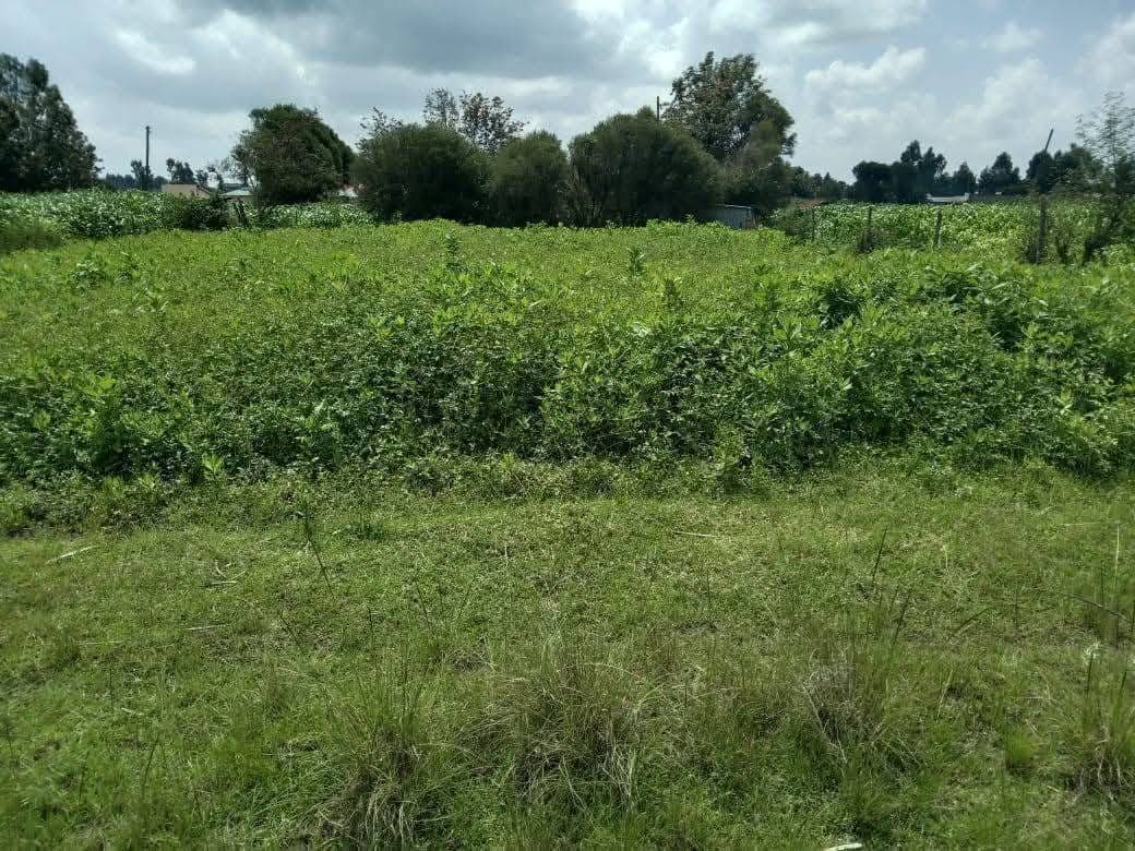 ¼-𝐀𝐜𝐫𝐞 𝐏𝐥𝐨𝐭𝐬 For Sale