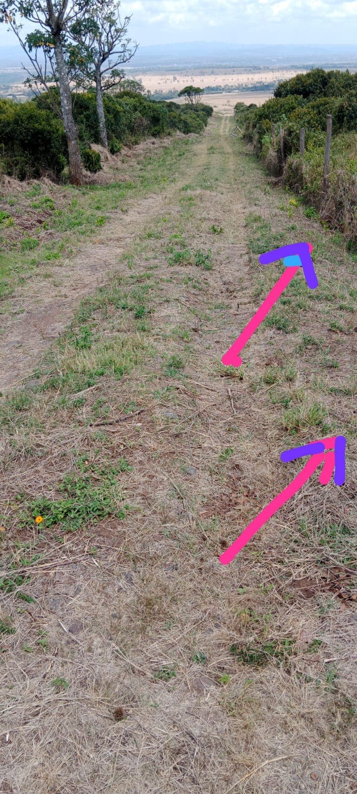 Prime 10 Acres for Sale in Mwiga, Nyeri – Bordering Aberdare National Park | KSh 3 Million Per Acre