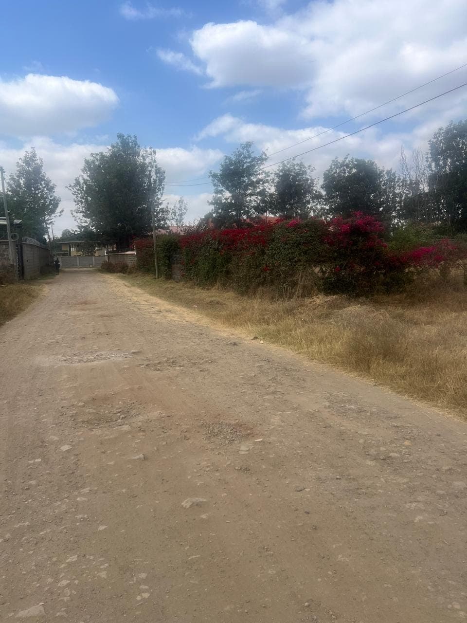 Prime 1-Acre Plot for Sale Near Olekasasi Police Station – KES 50M