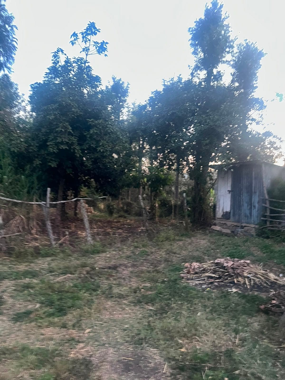 Prime ½-Acre Plot for Sale in Olkeri – KES 12M